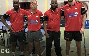 Championnat équipe adulte